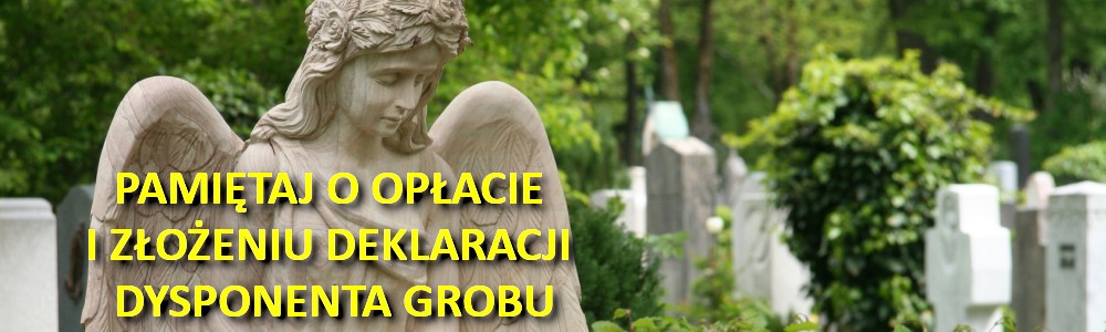Foto baner